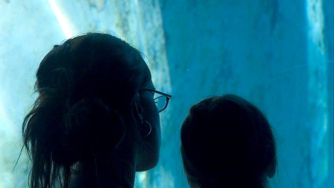 mother daughter aquarium.jpg